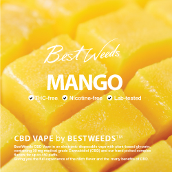 BestWeeds Mango 30mg CBD Disposable Vape 450 Puffs 1