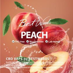 BestWeeds Peach 30mg CBD Disposable Vape 450 Puffs 2