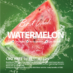 BestWeeds Watermelon 30mg CBD Disposable Vape 450 Puffs 2